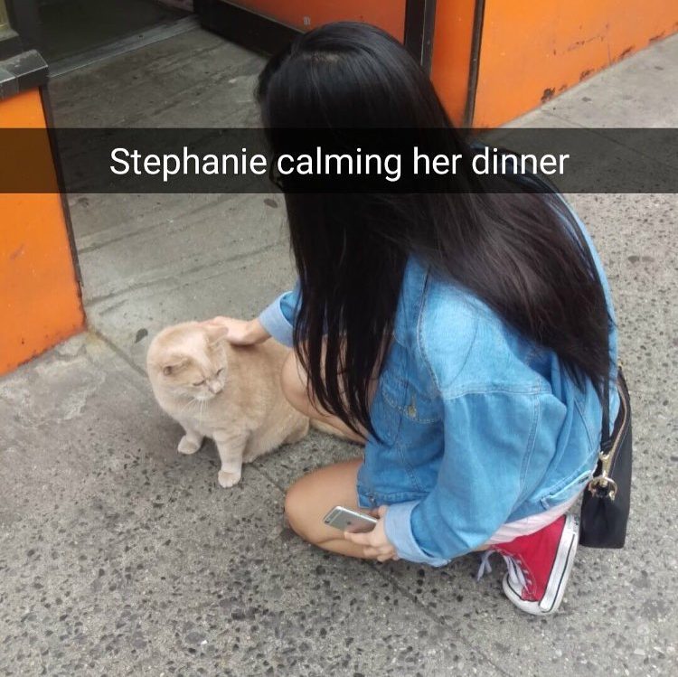 Stephanie finds a cat!